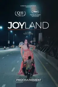 Poster to the movie "Joyland" #311592