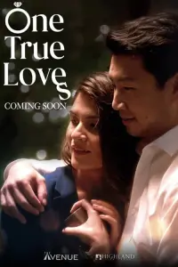 Poster to the movie "One True Loves" #140346