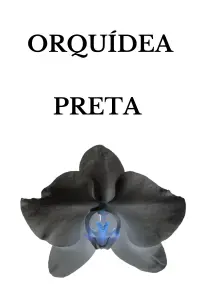 Poster to the movie "ORQUÍDEA PRETA" #509218