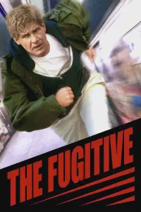 Poster to the movie "The Fugitive" #70083