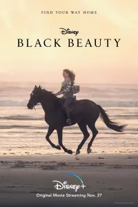 Poster to the movie "Black Beauty" #179871