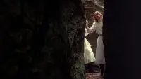 Backdrop to the movie "Picnic at Hanging Rock" #231033