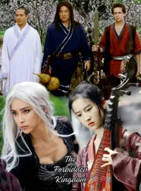 Poster to the movie "The Forbidden Kingdom" #111756