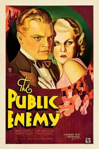 Poster to the movie "The Public Enemy" #230687