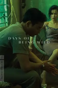 Poster to the movie "Days of Being Wild" #144108