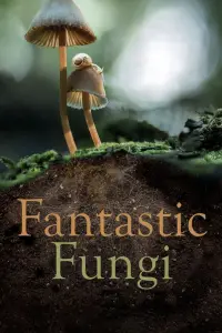 Poster to the movie "Fantastic Fungi" #364913