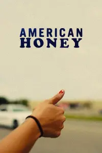 Poster to the movie "American Honey" #261740