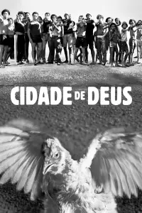 Poster to the movie "City of God" #543513