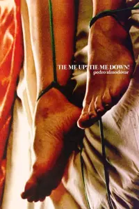 Poster to the movie "Tie Me Up! Tie Me Down!" #257282