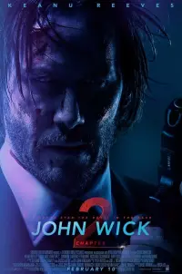 Poster to the movie "John Wick: Chapter 2" #479532