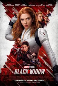 Poster to the movie "Black Widow" #23567