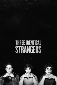 Poster to the movie "Three Identical Strangers" #477680