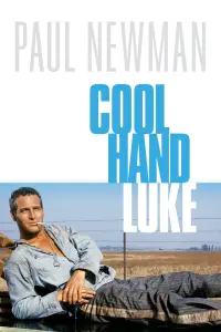 Poster to the movie "Cool Hand Luke" #102968