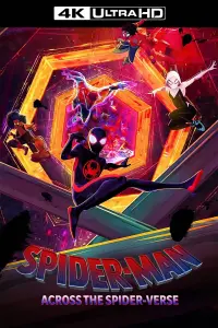 Poster to the movie "Spider-Man: Across the Spider-Verse" #3203