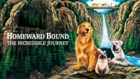 Backdrop to the movie "Homeward Bound: The Incredible Journey" #251056