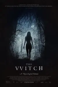 Poster to the movie "The Witch" #66197