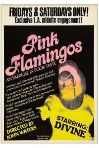 Poster to the movie "Pink Flamingos" #296595