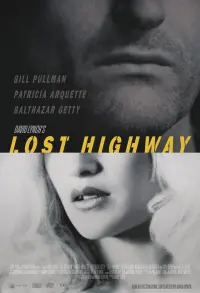 Poster to the movie "Lost Highway" #120893