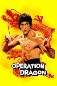 Poster to the movie "Enter the Dragon" #65990