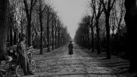 Backdrop to the movie "The Third Man" #559885