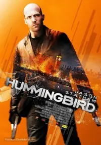 Poster to the movie "Hummingbird" #53899