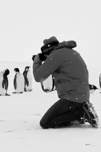 Poster to the movie "Antarctica Calling" #192905