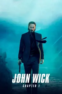 Poster to the movie "John Wick" #51578