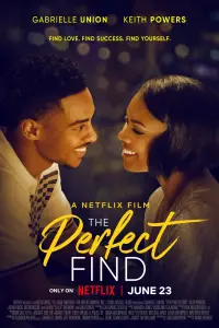 Poster to the movie "The Perfect Find" #107898