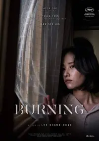 Poster to the movie "Burning" #218861