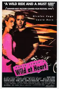 Poster to the movie "Wild at Heart" #134628