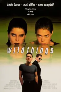 Poster to the movie "Wild Things" #102074