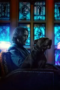 Poster to the movie "John Wick: Chapter 3 - Parabellum" #169870