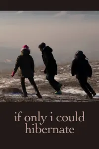 Poster to the movie "If Only I Could Hibernate" #198568