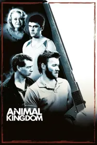 Poster to the movie "Animal Kingdom" #125693