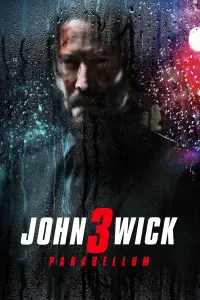 Poster to the movie "John Wick: Chapter 3 - Parabellum" #19369