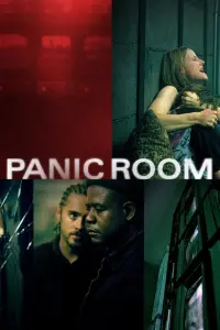 Poster to the movie "Panic Room" #264205