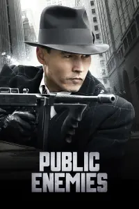 Poster to the movie "Public Enemies" #271239