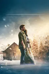 Poster to the movie "The Shack" #211328