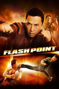 Poster to the movie "Flash Point" #253973