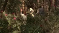 Backdrop to the movie "Picnic at Hanging Rock" #231047