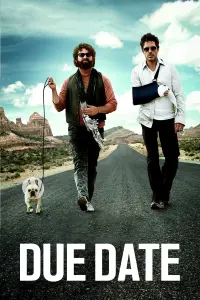 Poster to the movie "Due Date" #85148