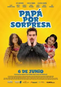 Poster to the movie "Papá por sorpresa" #491526