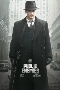 Poster to the movie "Public Enemies" #271258