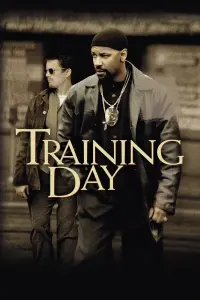 Poster to the movie "Training Day" #211488