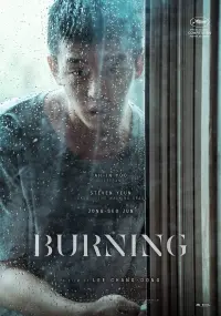 Poster to the movie "Burning" #218859