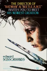 Poster to the movie "Edward Scissorhands" #31855