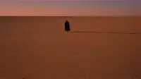 Backdrop to the movie "Lawrence of Arabia" #692036