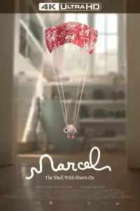 Poster to the movie "Marcel the Shell with Shoes On" #58795