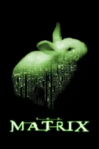 Poster to the movie "The Matrix" #14335