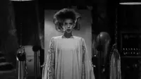 Backdrop to the movie "The Bride of Frankenstein" #671651